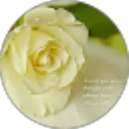 Review From rika diah