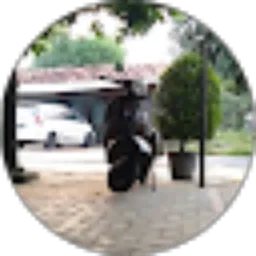 Review From Royhan channel