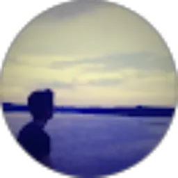 Review From dodhy portnoy