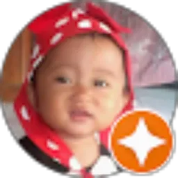 Review From Anindya AP