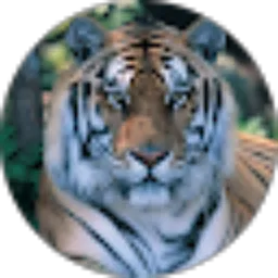 Review From Aynul Yakin