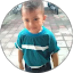 Review From Hendra Suparno