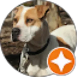 Review From yosh made