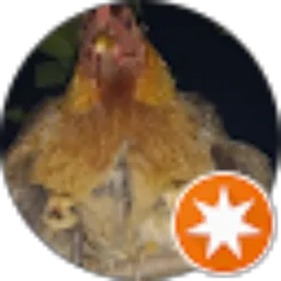 Review From The garden amsquad