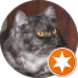 Review From rezki lestari arief