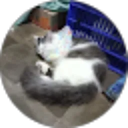 Review From Hartanti Rochmana