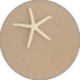 Review From Vicky Ni Kadek Wulandari