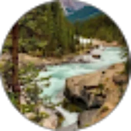 Review From Indra Riupasa