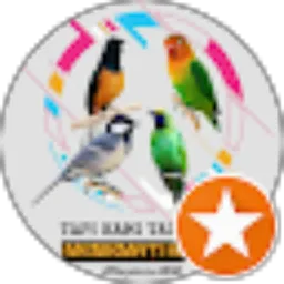 Review From FIKRY KICAU 1406