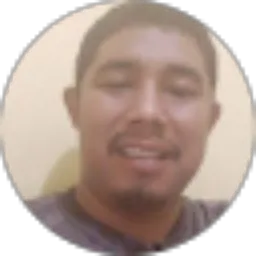 Review From Paul Kristiono