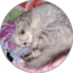 Review From Helga Octavian