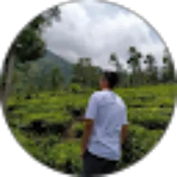 Review From Lutfi Wahyu