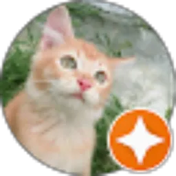 Review From Harun Anggi