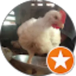 Review From eduard mogo