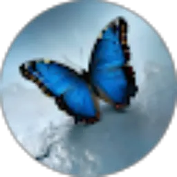 Review From Tony Tan