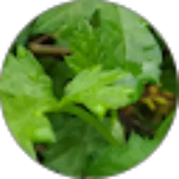 Review From Imelda K.