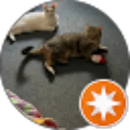 Review From Septra WP