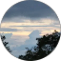 Review From M Auriga