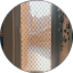 Review From Diana Fadia