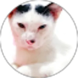 Review From karnivoras HD