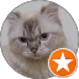 Review From Nasywa Rae