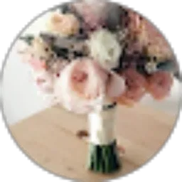 Review From Sabita Busain