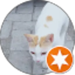 Review From k “Sari” s