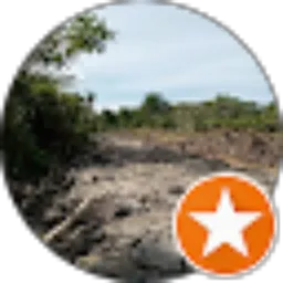 Review From Rocket Man