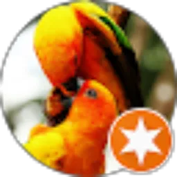 Review From Lexa Zhahara