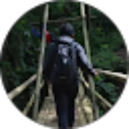 Review From Jeremy Ulysses