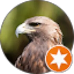 Review From Al Baithar Muhammad