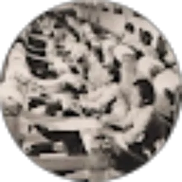 Review From djuru kuntji