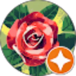 Review From Fransiskha Anshy