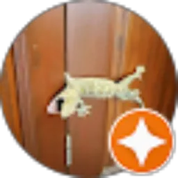 Review From Nugraha Sih Cahyadi