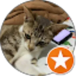 Review From Azizah Novi Tami