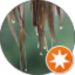 Review From Angela Dwi Pangestika