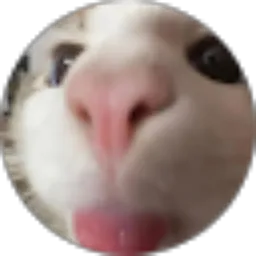 Review From Zabila Nur Ramadhani