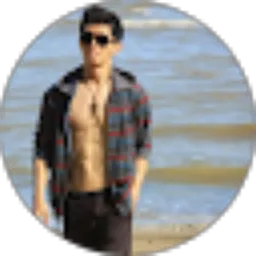 Review From Julian Sebastian