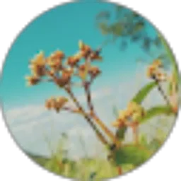 Review From Sofiyatul Hidayah