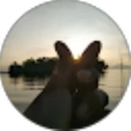 Review From Fatmakbrata Ata