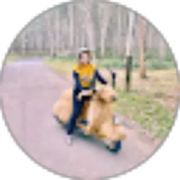 Review From thisis Rienhy