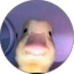 Review From Made Made