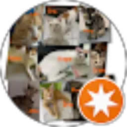 Review From Septani Dwi A Tamher