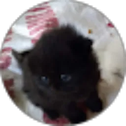 Review From ridwan zacky