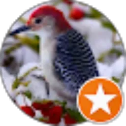 Review From Widy Ades