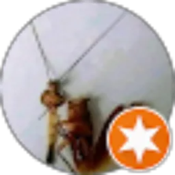 Review From widhiarto 07