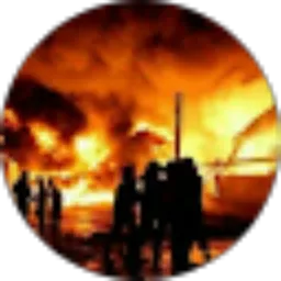 Review From Robert Dk