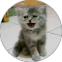 Review From Dunia Kucing ABUdung