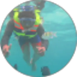 Review From miswar hrfa