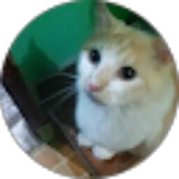 Review From La Ode Achmad Fattahudin